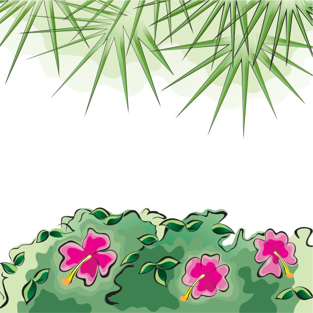热带设计模板或边缘与棕榈叶和芙蓉花图片下载