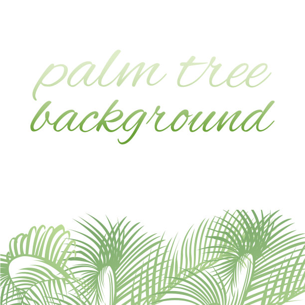 热带设计模板或边缘与棕榈叶图片下载