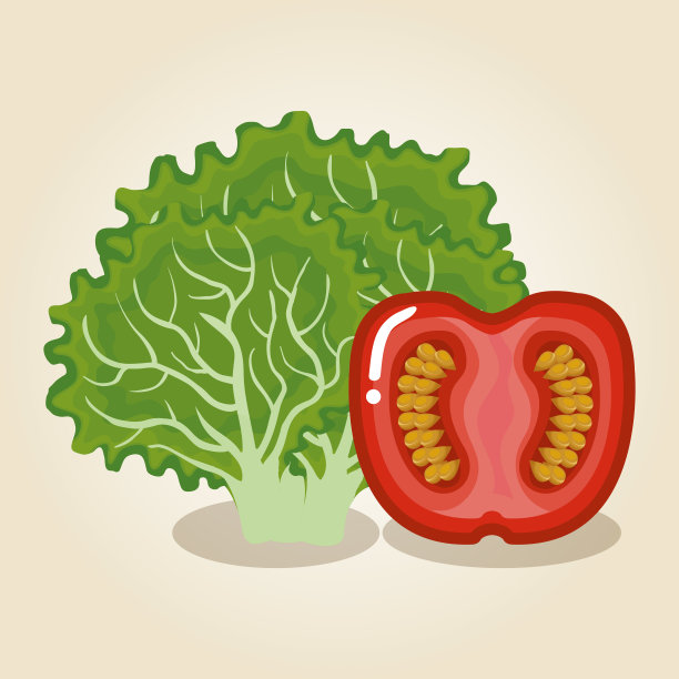 设置蔬菜健康食品图片下载