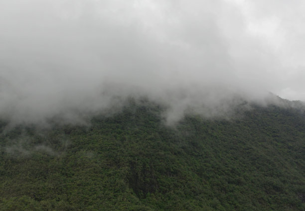 留尼汪岛萨拉齐山谷的风景图片下载