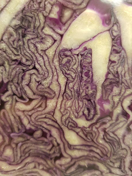 有机结构图片下载