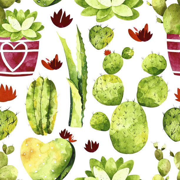 水彩仙人掌无缝图案。图片下载