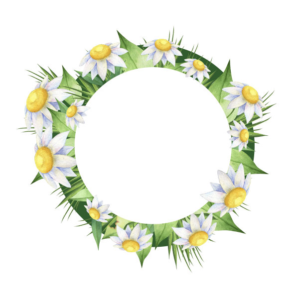 甘菊花牌素材图片