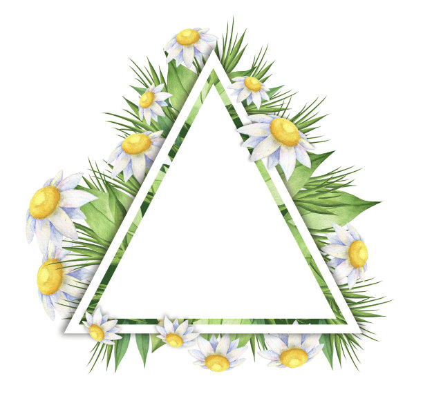 甘菊花牌素材图片