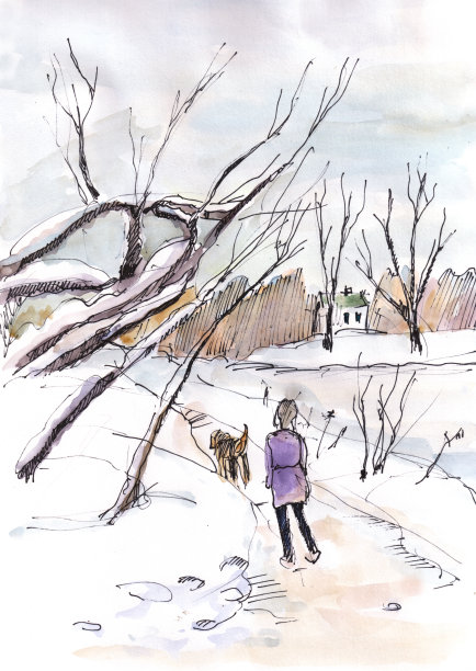 wnt景观图片下载