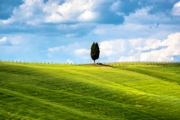 托斯卡纳草山间的柏树，乡村景观。乡村农场，柏树，绿色田野，意大利，欧洲。图片下载