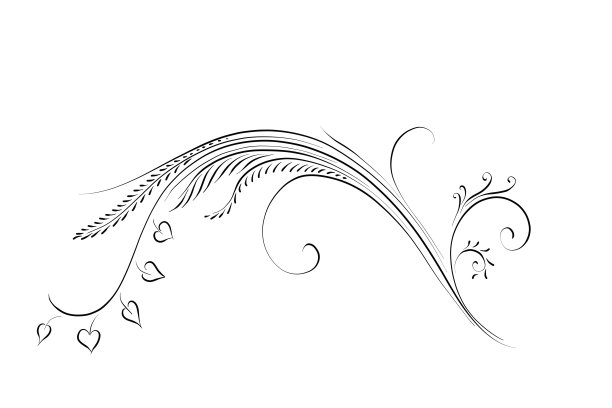 用心形和茂盛的叶子装饰婚礼请柬的甜蜜和浪漫图片下载