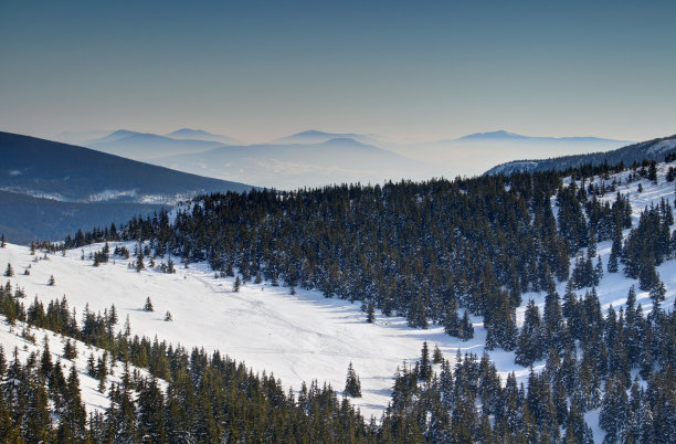 雪地图片素材ID：316240692