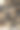 在白色背景上分离的黑色真菌素材图片