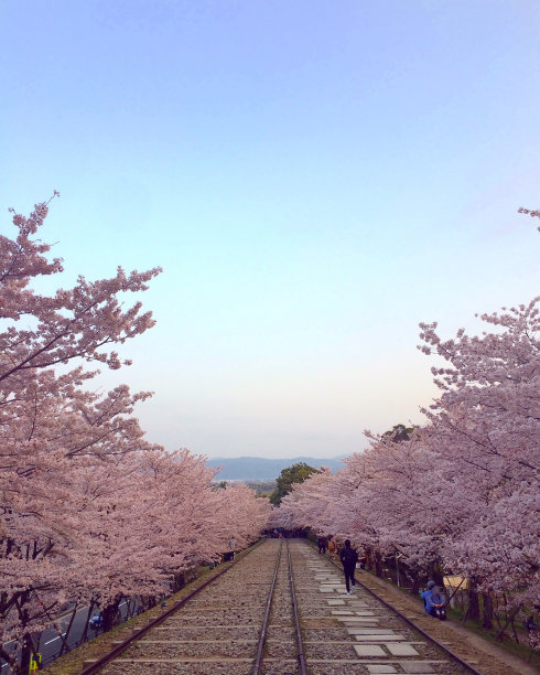 在通往美丽未来的路上图片下载