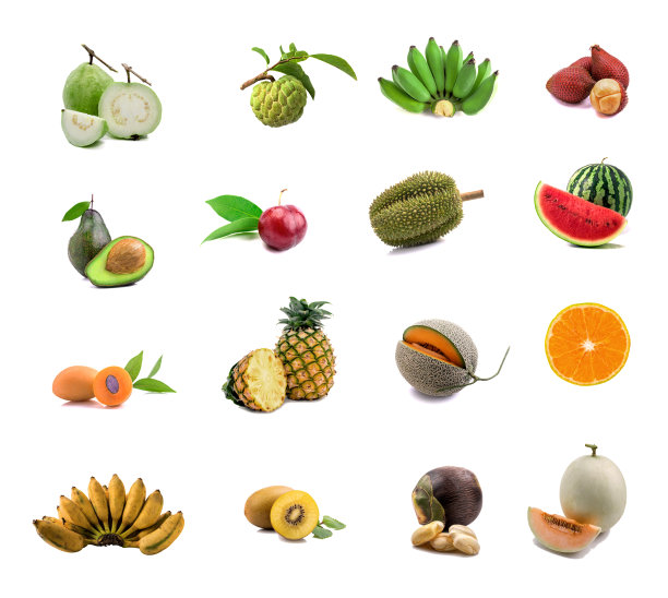一组水果在白色的背景。图片下载