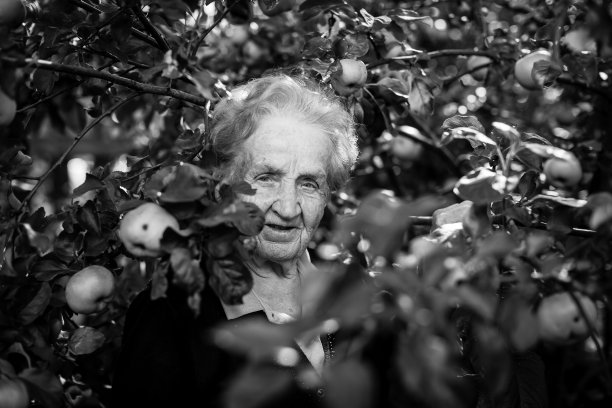 老女人的肖像在苹果花园里。图片下载