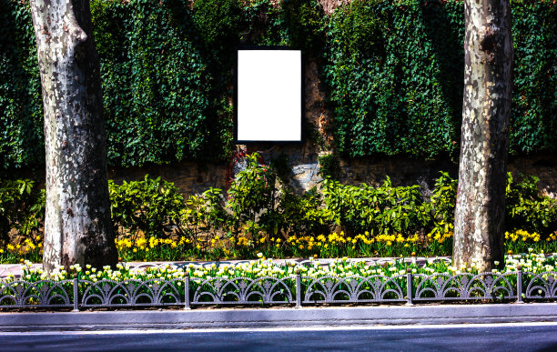 五彩街上的广告牌图片下载