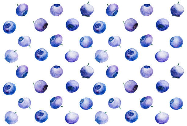 花样与水彩蓝莓图片下载