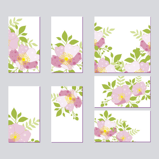 植物卡上有野花、叶子图片下载