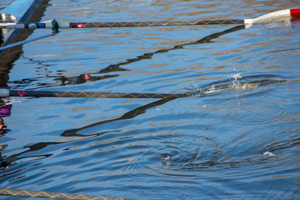 近距离的划船桨在水图片下载