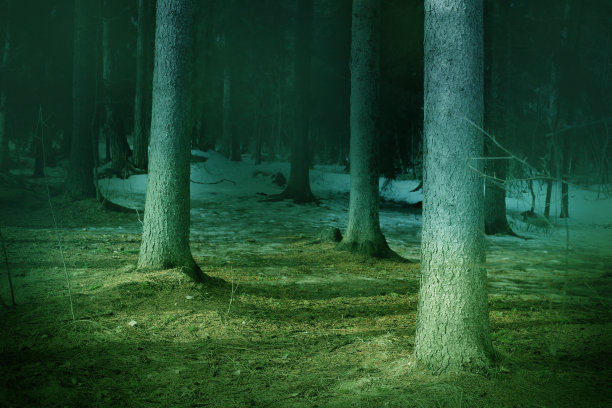 色彩斑斓，魔幻奇幻主题的童话般的森林景观图片下载