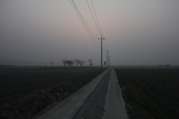 在冬天和小狗散步图片下载