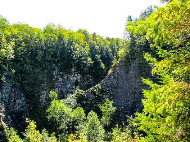 惠斯顿海湾州立公园图片下载