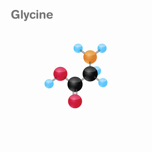 甘氨酸的分子组成和结构，最适合书籍和教育图片下载