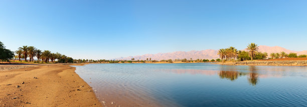 以色列南部田园绿洲全景。图片下载