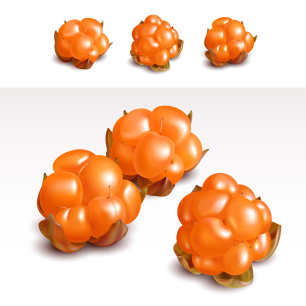 白色背景下的森林浆果，云莓图片下载