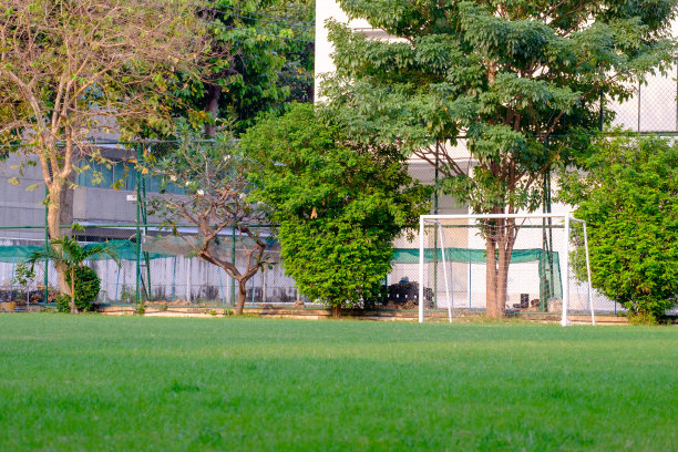 足球门和小绿草坪旁的建筑排练话剧图片下载