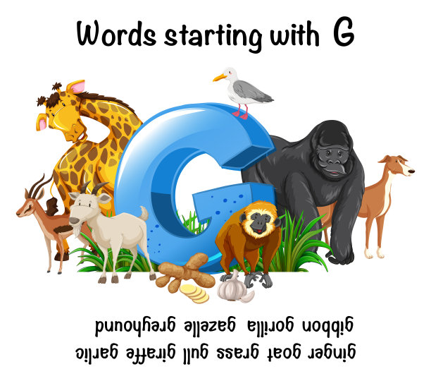 字母G开头的单词图片下载