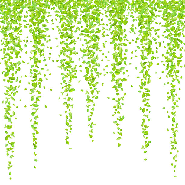 矢量清新的春天的绿叶背景贺卡在扁平风格素材图片