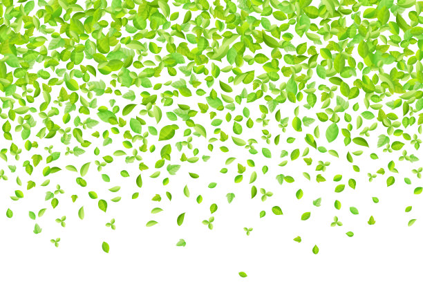 矢量清新的春天的绿叶背景贺卡在扁平风格素材图片