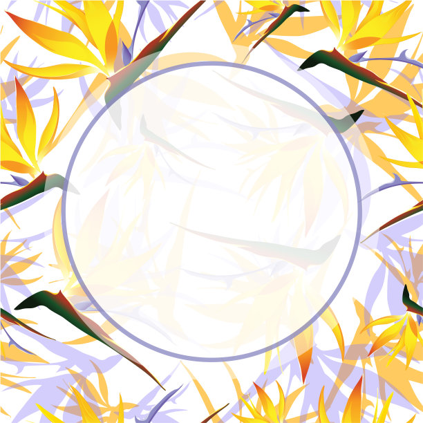 热带设计模板与文本复制空间-自然花/叶无缝模式的背景图片下载