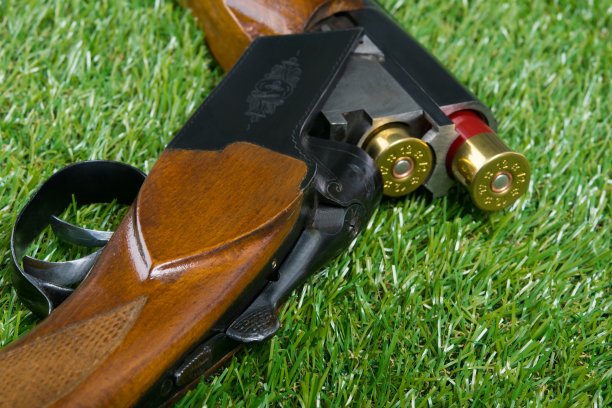 狩猎步枪运动，在绿色草坪上图片下载