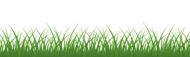田野，绿色的草在白色的背景-向量为股票图片下载