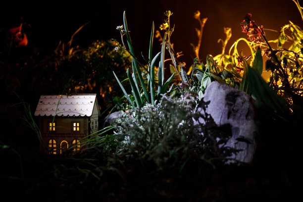 幻想装饰照片。小而漂亮的房子在草与光。森林里的老房子，夜晚有月亮。有选择性的重点图片下载