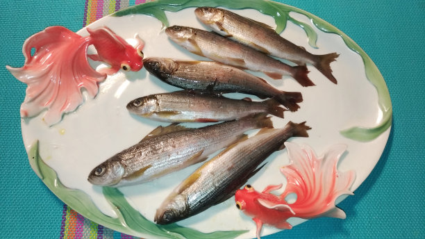 盘子里的新鲜海鱼/新鲜的海鲜图片下载