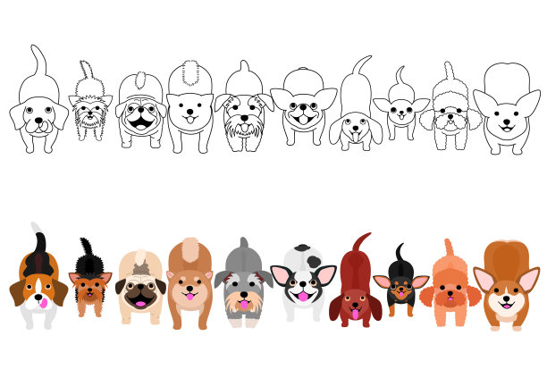 站着的小狗看着边界设置图片下载