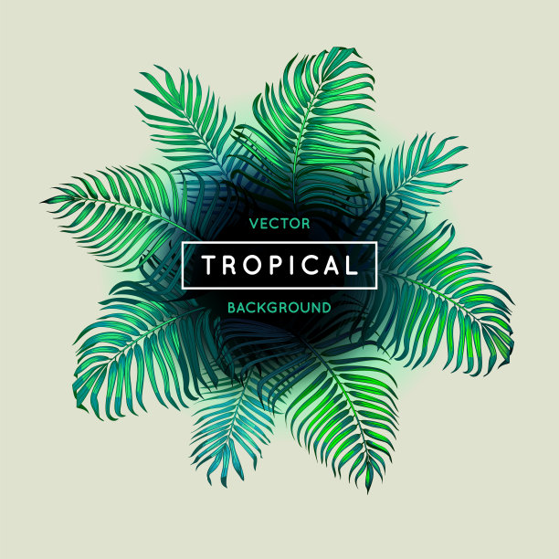 复古抽象矢量热带背景。棕榈叶。奇异的树枝叶。边境。绿色的树叶和文字。丛林主题设计模板的旗帜或海报。框架。每股收益10。图片下载