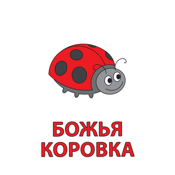 卡通瓢虫抽认卡儿童图片下载