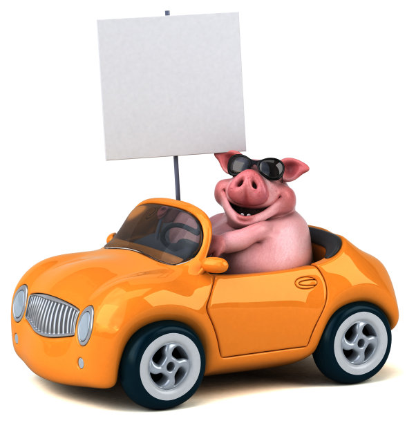 有趣的猪- 3D插图图片下载