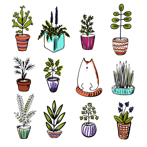 彩色盆栽植物和сute猫。手画插图图片下载