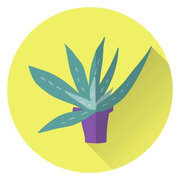 平底载体芦荟在锅上黄色背景图片下载