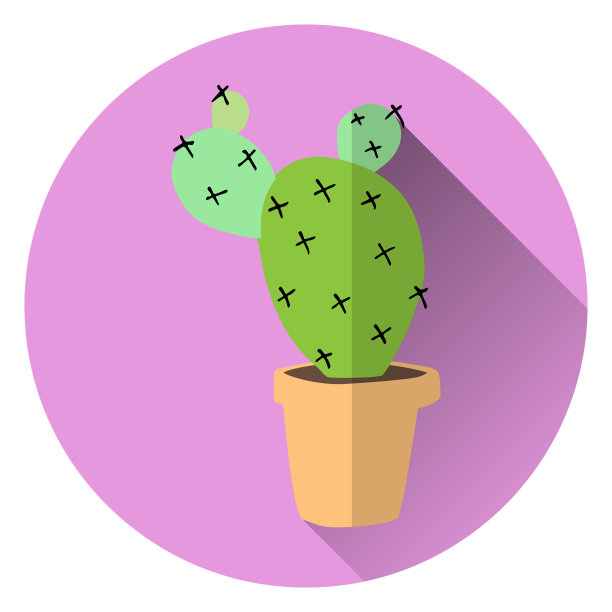 扁平的仙人掌在花盆上的丁香背景图片下载