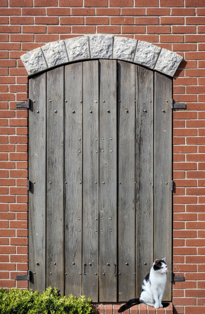 红砖墙上的木制百叶窗图片下载