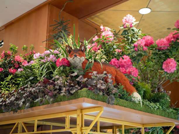 装饰狐狸在花园中展出图片下载