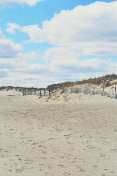 海滩上的日子图片下载