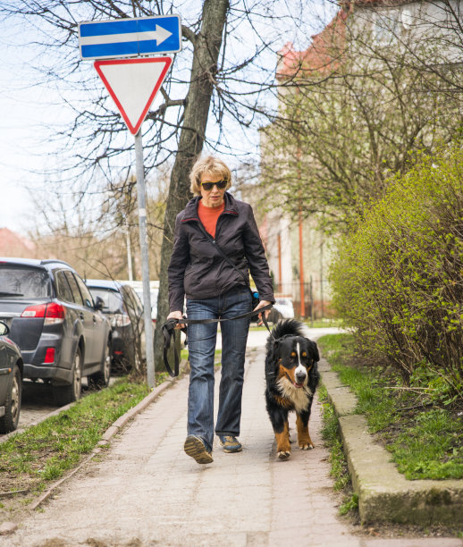 成熟的女人在街上遛狗图片下载