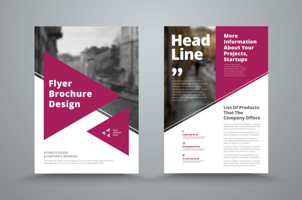 矢量飞行器模板与波尔多三角形和一个地方的照片。图片下载