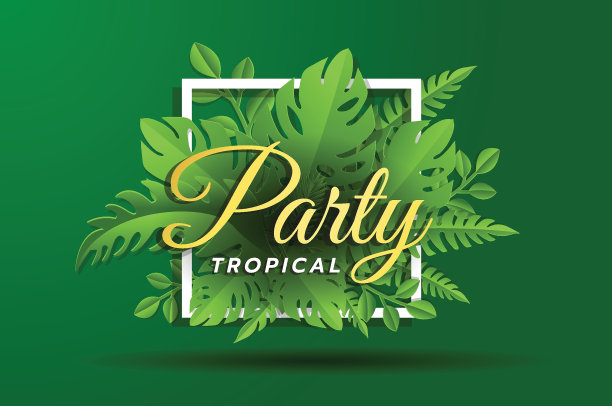 夏季热带叶背景与外来棕榈叶。党传单模板。图片下载