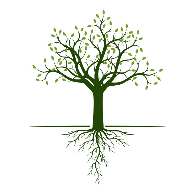 有根的绿树形状。矢量插图。图片下载