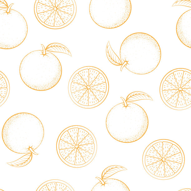无缝图案整体和切割轮廓橙子图片下载